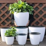 Modern Self-Watering Flowerpot
