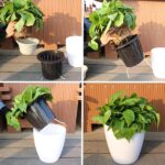 Modern Self-Watering Flowerpot - Image 4