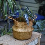 Nordic Woven Flowerpot Basket - Image 2