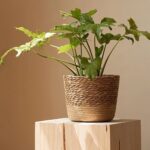 Natural Woven Flowerpot Basket - Image 2