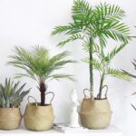 Nordic Woven Flowerpot Basket - Image 3