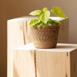 Natural Woven Flowerpot Basket - Image 3