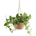 Hanging Woven Flowerpot Basket - Image 2