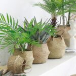 Nordic Woven Flowerpot Basket - Image 4