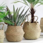 Nordic Woven Flowerpot Basket - Image 5